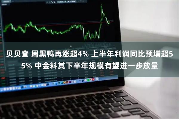 贝贝查 周黑鸭再涨超4% 上半年利润同比预增超55% 中金料其下半年规模有望进一步放量