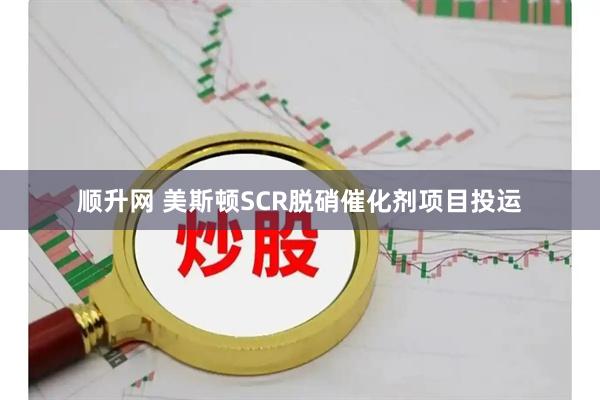 顺升网 美斯顿SCR脱硝催化剂项目投运