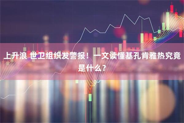 上升浪 世卫组织发警报！一文读懂基孔肯雅热究竟是什么？