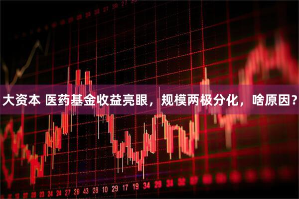 大资本 医药基金收益亮眼，规模两极分化，啥原因？
