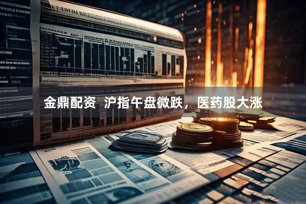 金鼎配资  沪指午盘微跌，医药股大涨