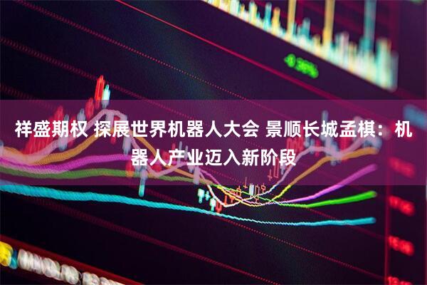 祥盛期权 探展世界机器人大会 景顺长城孟棋：机器人产业迈入新阶段