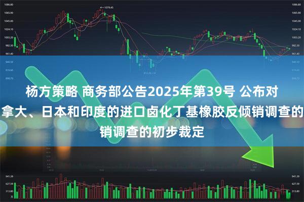 杨方策略 商务部公告2025年第39号 公布对原产于加拿大、日本和印度的进口卤化丁基橡胶反倾销调查的初步裁定