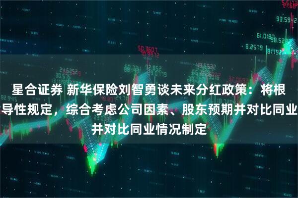 星合证券 新华保险刘智勇谈未来分红政策:将根据监管指导性规定,综合考虑公司因素、股东预期并对比同业情况制定