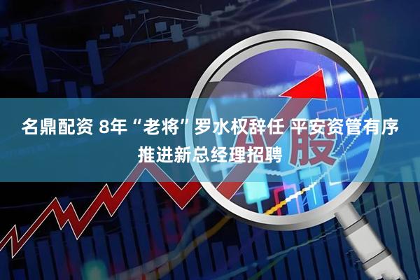 名鼎配资 8年“老将”罗水权辞任 平安资管有序推进新总经理招聘