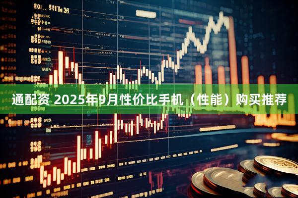 通配资 2025年9月性价比手机（性能）购买推荐